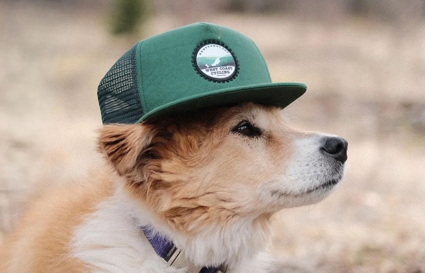 West Coast Cycling trucker cap worn by a dog outdoors